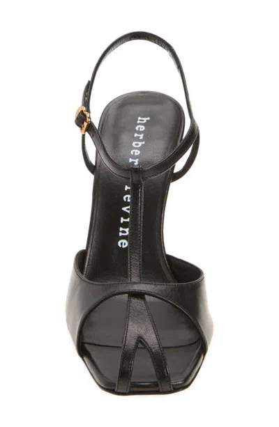 Herbert Levine Leather T-strap Sandal In Multi