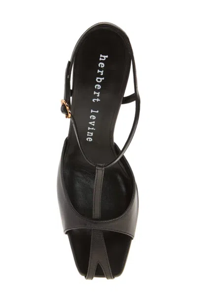 Herbert Levine Leather T-strap Sandal In Multi
