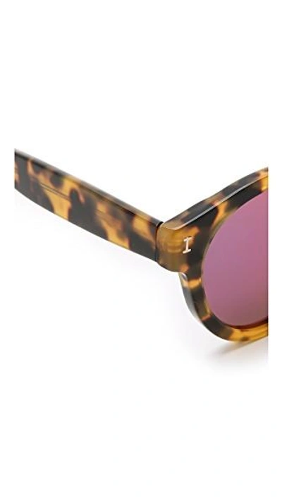 Shop Illesteva Leonard Mirrored Sunglasses In Tortoise/pink