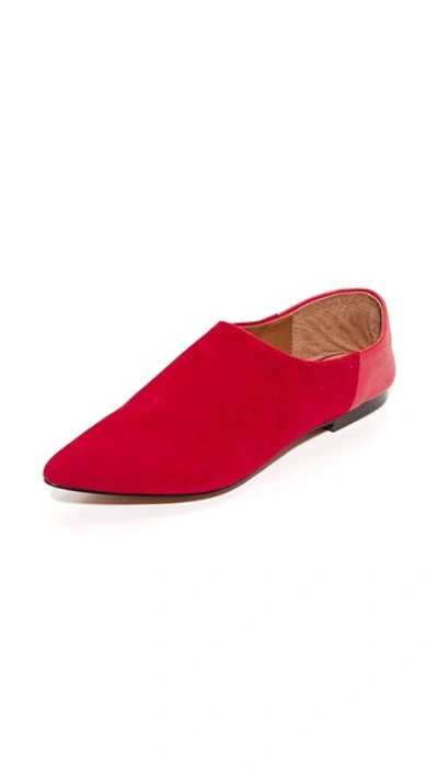 Jaggar On Point Flats In Coral