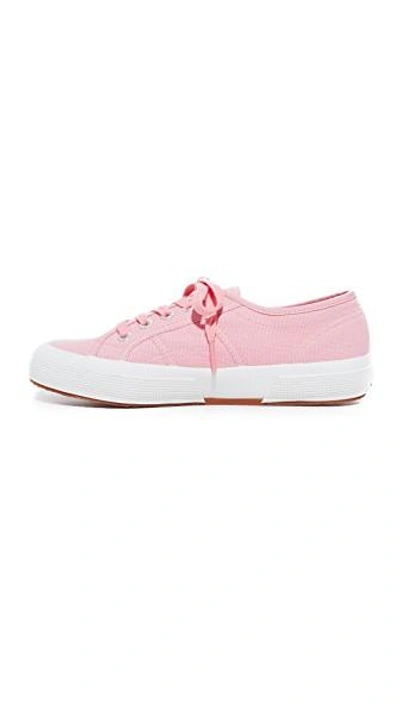 Shop Superga 2750 Cotu Classic Sneakers In Light Pink