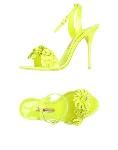 Sophia Webster Sandals In Yellow