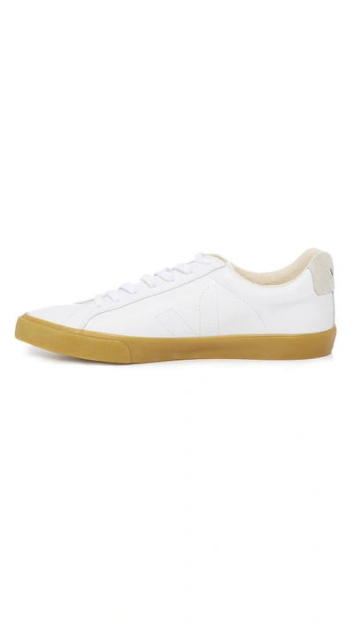 Shop Veja Esplar Leather Sneakers In Extra White/natural