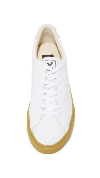 Shop Veja Esplar Leather Sneakers In Extra White/natural