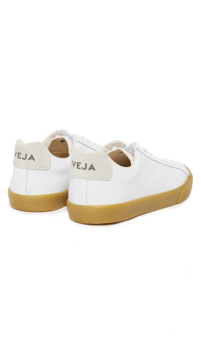 Shop Veja Esplar Leather Sneakers In Extra White/natural