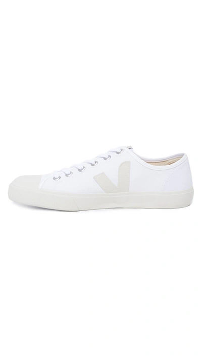 Shop Veja Wata Canvas Sneakers In White