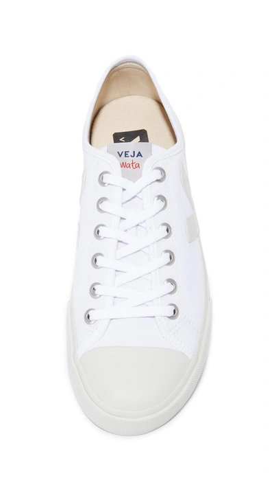 Shop Veja Wata Canvas Sneakers In White