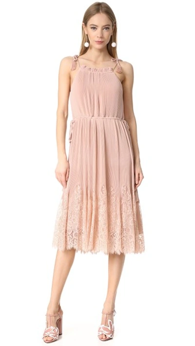 Whistles Lilian Pleated Lace-trim Dress In Pale Pink