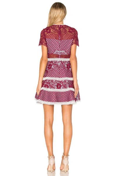 Shop Alexis Rustikan Dress In Burgundy