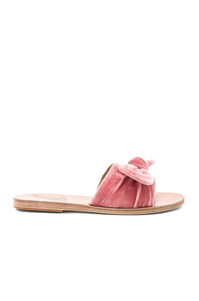 Ancient Greek Sandals Taygete 蝴蝶结缀饰天鹅绒凉鞋 In Pink