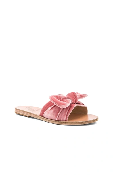 Shop Ancient Greek Sandals Taygete Bow Slide In Dusty Pink