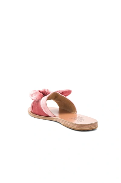 Shop Ancient Greek Sandals Taygete Bow Slide In Dusty Pink