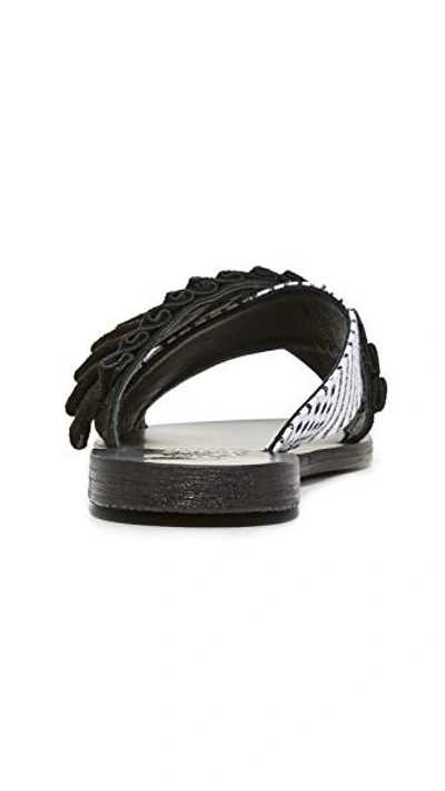 Shop Ancient Greek Sandals X Lem Lem Thais Frils Slides In Black/stripe