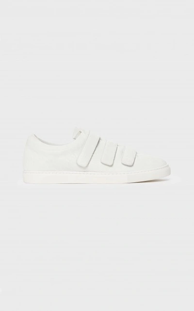 Shop Iro Scartchy Sneaker In White