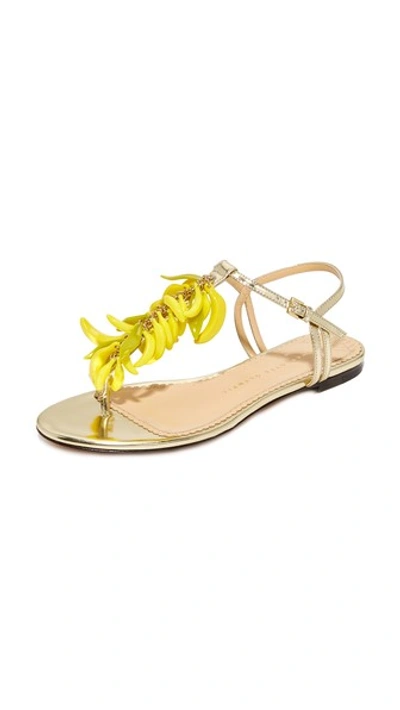 Shop Charlotte Olympia Banana Sandals In 香槟色