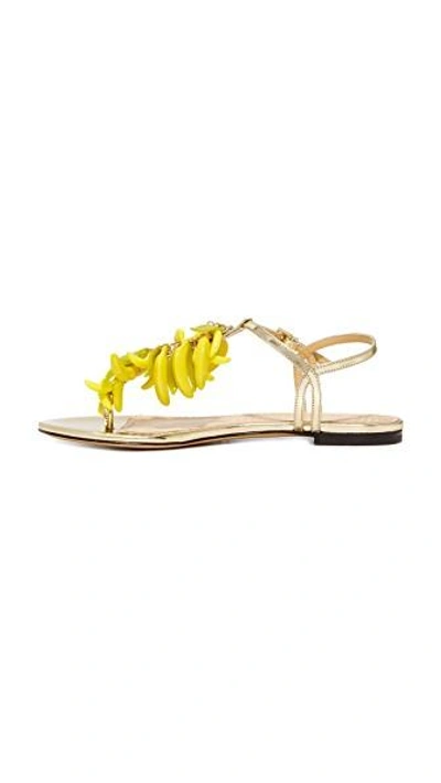 Shop Charlotte Olympia Banana Sandals In 香槟色