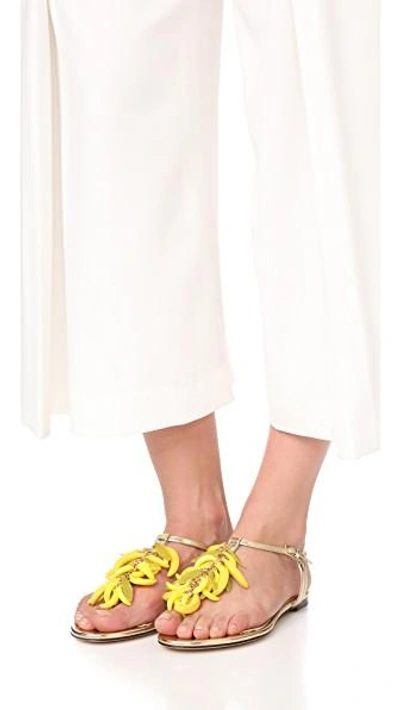 Shop Charlotte Olympia Banana Sandals In 香槟色