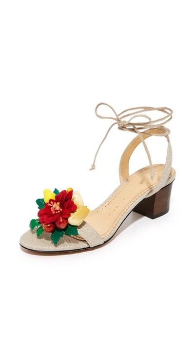 Shop Charlotte Olympia Tropical Tara Sandals In 灰红褐