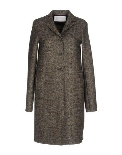 Harris Wharf London Coats In Grey