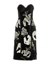 ERDEM KNEE-LENGTH DRESSES,34742668RR 3