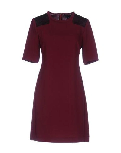 Marc By Marc Jacobs Short Dresses In Maroon