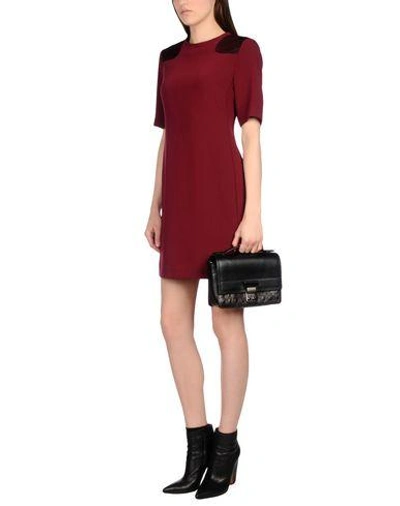 Shop Marc By Marc Jacobs Short Dresses In Maroon