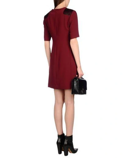 Shop Marc By Marc Jacobs Short Dresses In Maroon
