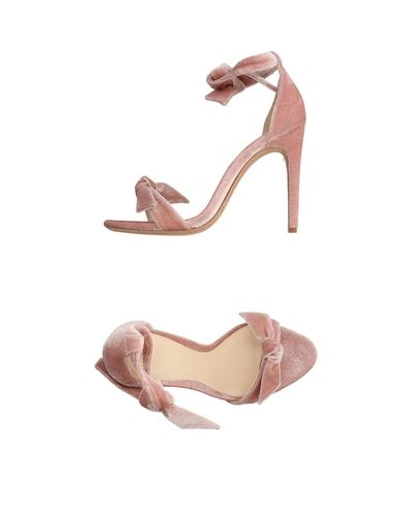 Shop Alexandre Birman Woman Sandals Pink Size 11 Textile Fibers