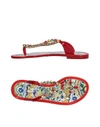 DOLCE & GABBANA TOE STRAP SANDALS,11220867OK 3