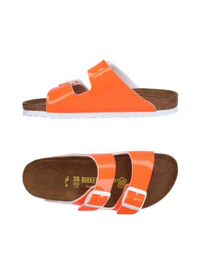 Birkenstock Sandals In Orange