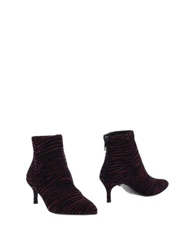 Just Cavalli Ankle Boot In Deep Purple