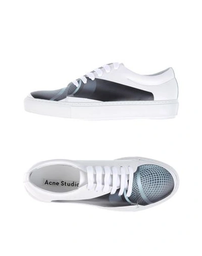 Acne Studios Sneakers In Grey