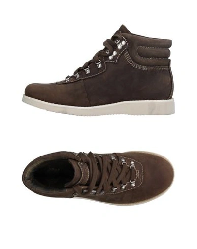 Timberland Sneakers In Dark Brown