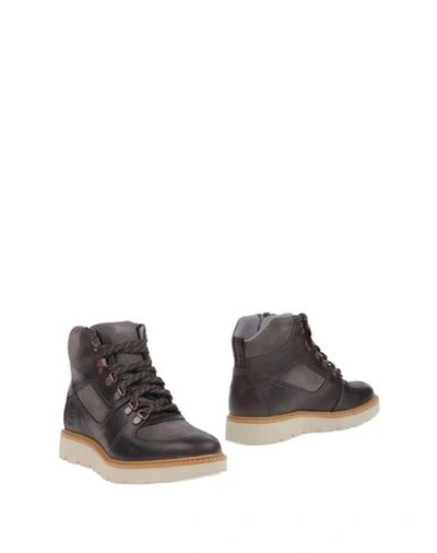 Timberland Ankle Boots In Lead