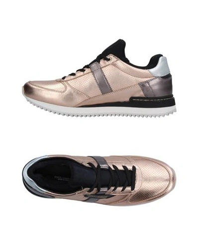 Dolce & Gabbana Sneakers In Copper