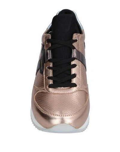 Shop Dolce & Gabbana Sneakers In Copper