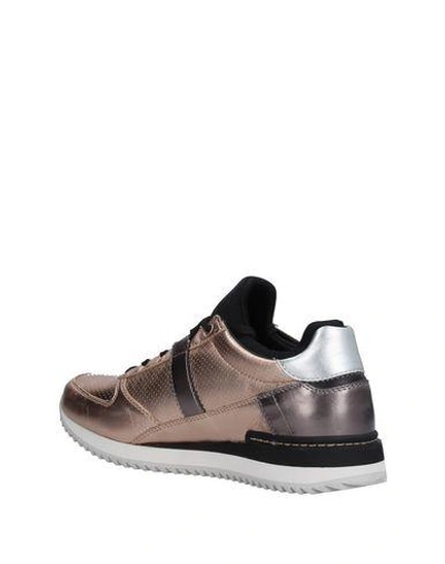 Shop Dolce & Gabbana Sneakers In Copper