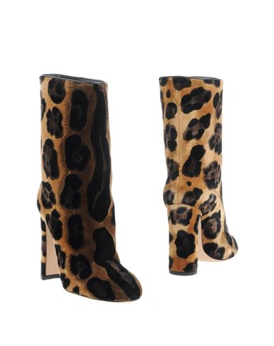 Shop Dolce & Gabbana Woman Ankle Boots Brown Size 7.5 Viscose, Lambskin