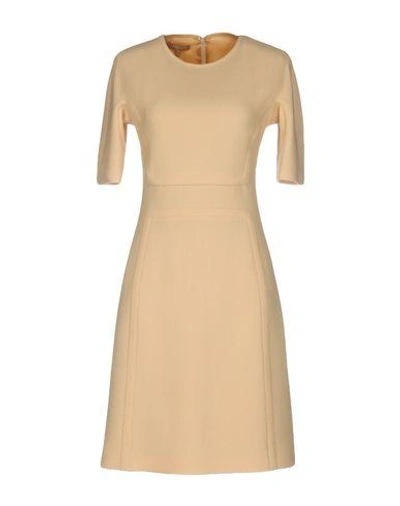 Shop Michael Kors Collection In Ivory