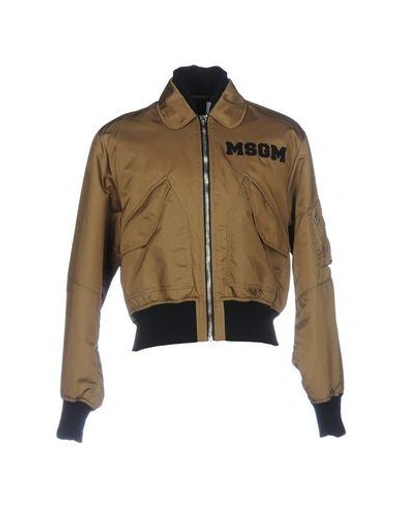 Shop Msgm Bomber In Black