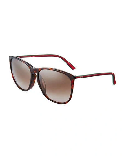 Gucci Square Acetate Sunglasses, Tortoise/green/red, Brown