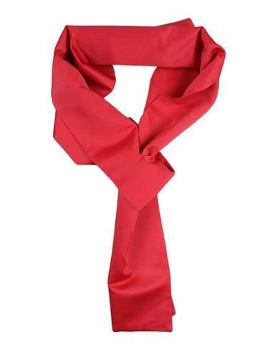 Pinko Scarves In Maroon