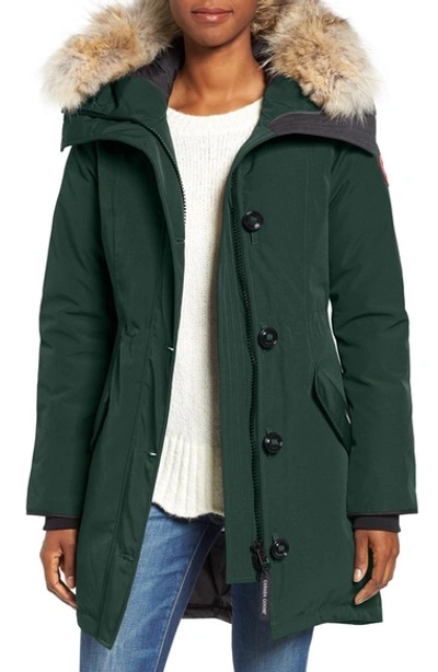 Shop Canada Goose Rossclair Genuine Coyote Fur Trim Down Parka In Algonquin Green