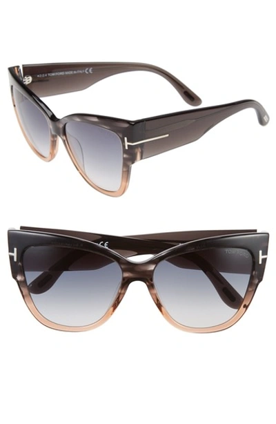 Tom Ford Anoushka Streaked Cat-eye Sunglasses, Gray/peach In Gray/gradient Peach Champagne Mirror