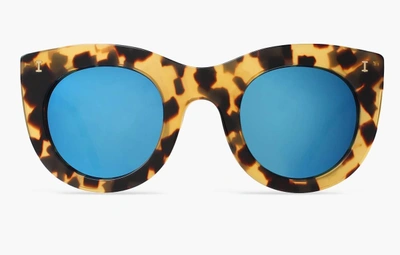 Illesteva Boca Sunglasses | Honey Tortoise With Blue Mirrored Lenses