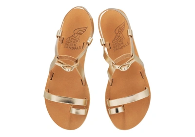 Ancient Greek Sandals Phoebe In Platinum