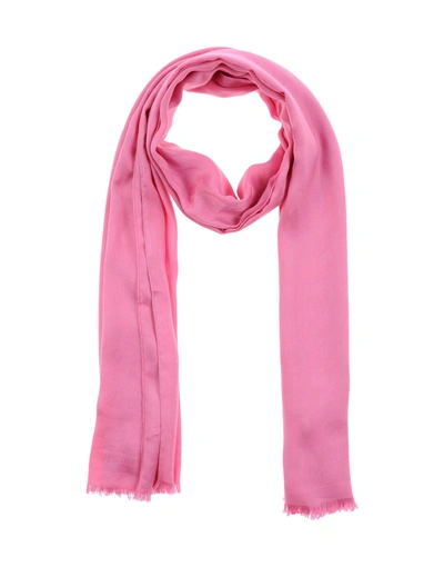 Roberto Cavalli Scarf In Pink