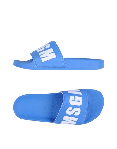 Msgm Sandals In Sky Blue