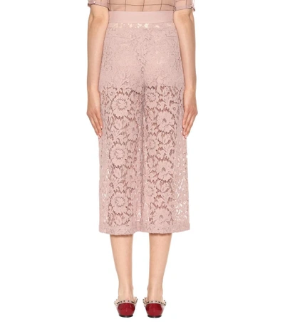 Shop Valentino Lace Wool And Silk Culottes In Wild Rose
