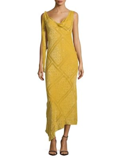 Roberto Cavalli Embroidered Sleeveless Gown In Gold